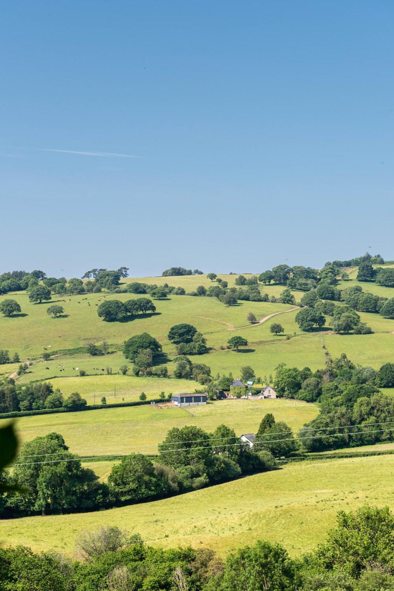 Alltybrain Farm Cottages And Farmhouse B&B Brecon Exterior photo