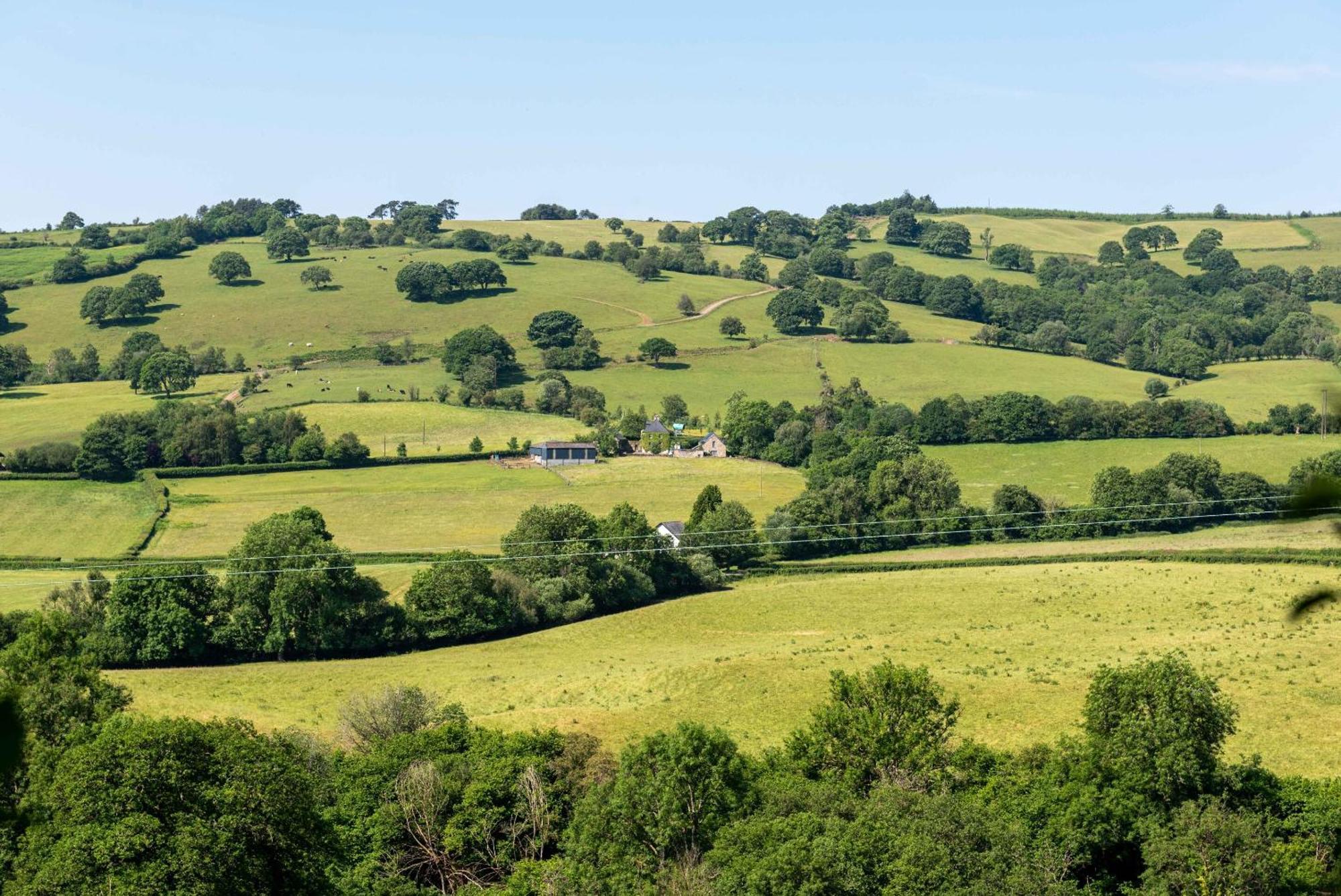 Alltybrain Farm Cottages And Farmhouse B&B Brecon Exterior photo