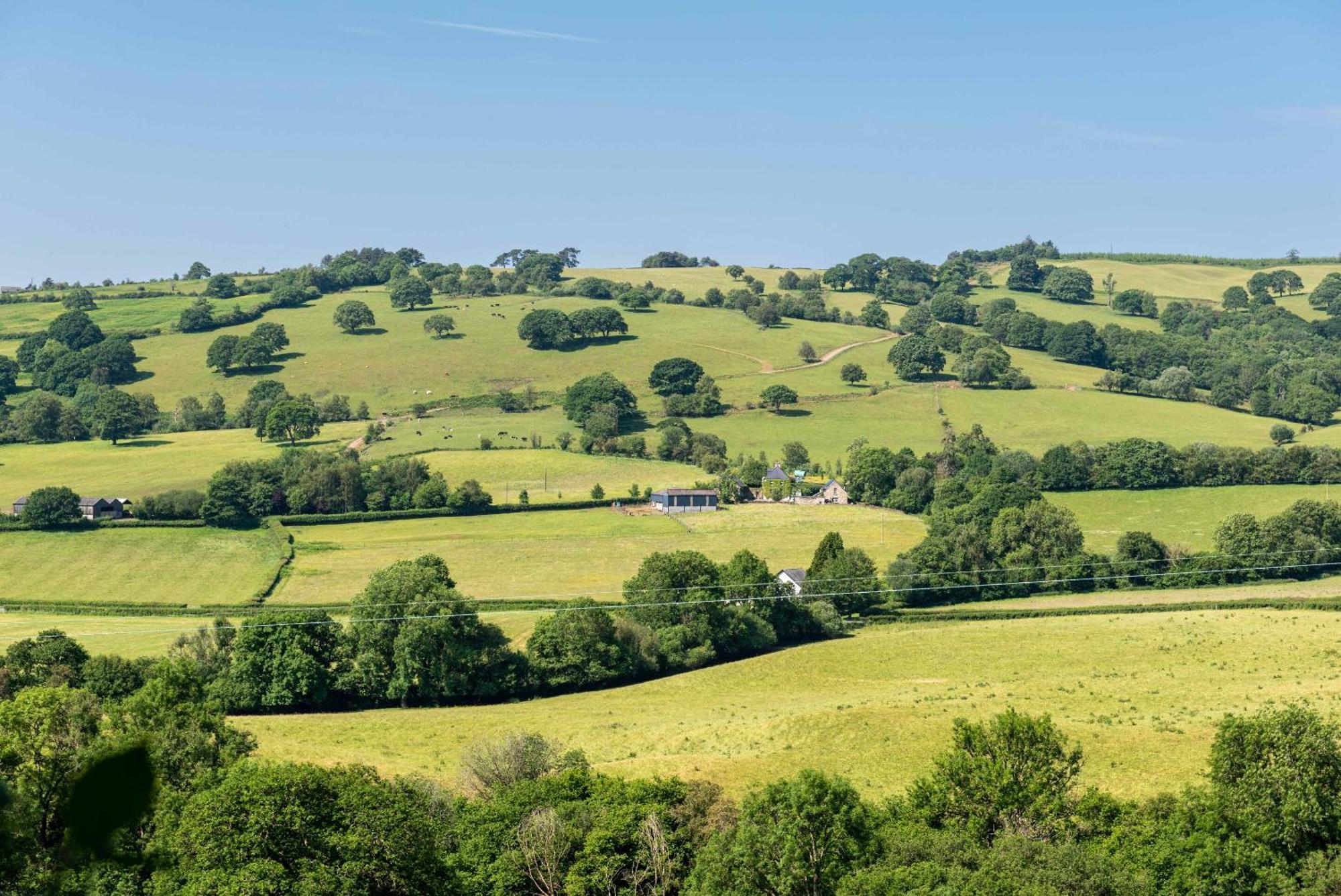 Alltybrain Farm Cottages And Farmhouse B&B Brecon Exterior photo